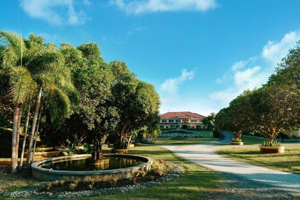 The Peacock Garden Hotel Panglao-stad Buitenkant foto